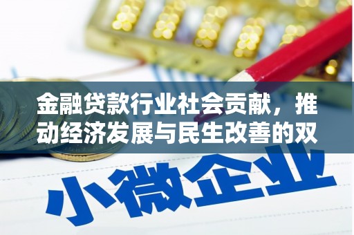 望谟金融贷款行业社会贡献，推动经济发展与民生改善的双重引擎