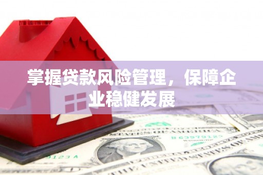定远掌握贷款风险管理，保障企业稳健发展