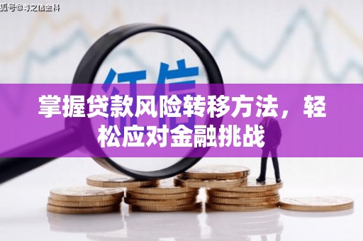 绥宁掌握贷款风险转移方法，轻松应对金融挑战