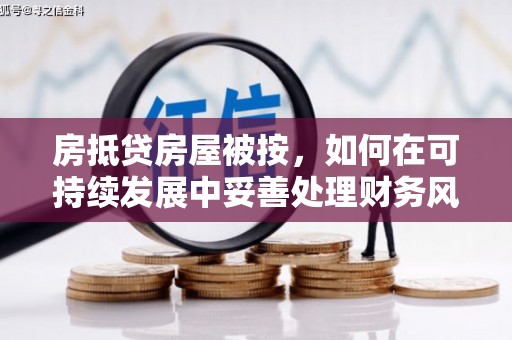 亚东房抵贷房屋被按，如何在可持续发展中妥善处理财务风险？