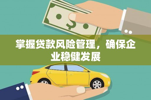 赵县掌握贷款风险管理，确保企业稳健发展
